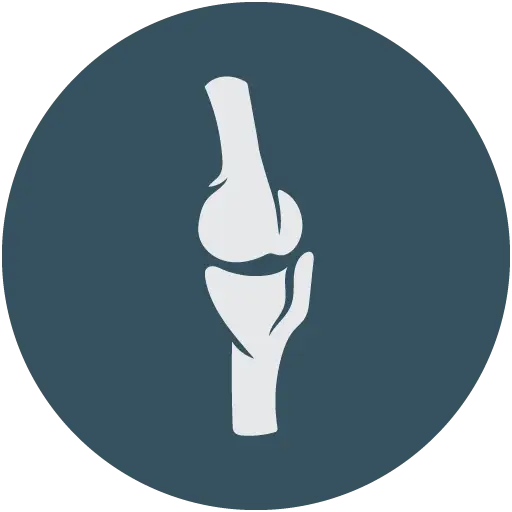 Knee Joint Anatomy Illustration