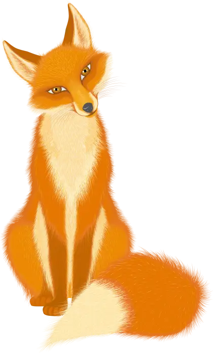 Illustration of an Orange Sitting Fox