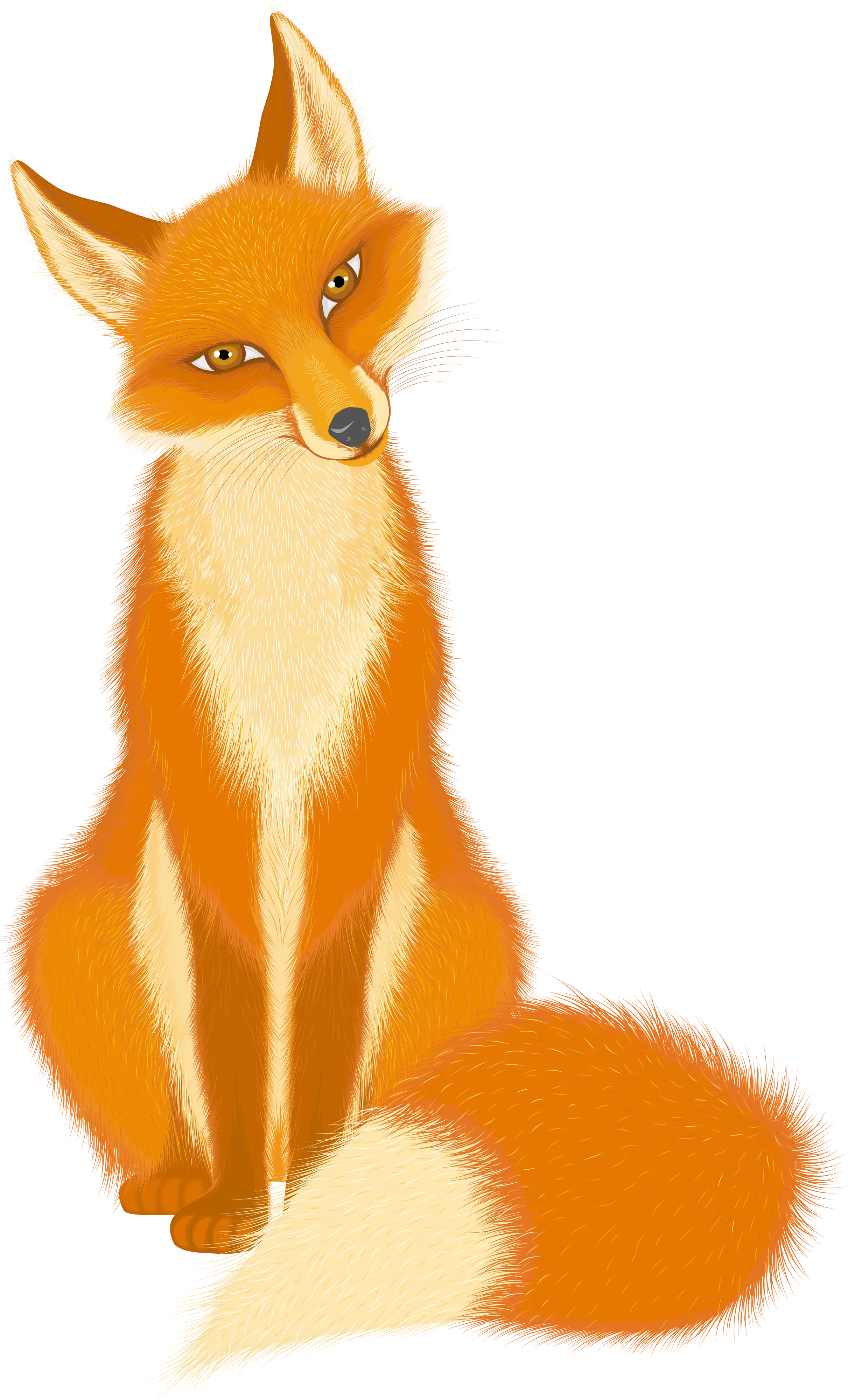 Illustration of an Orange Sitting Fox