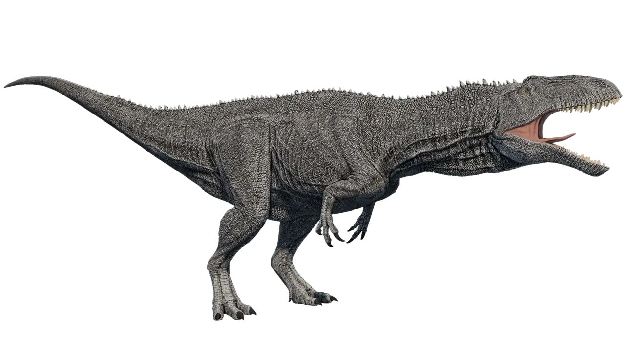 Gray Dinosaur Illustration