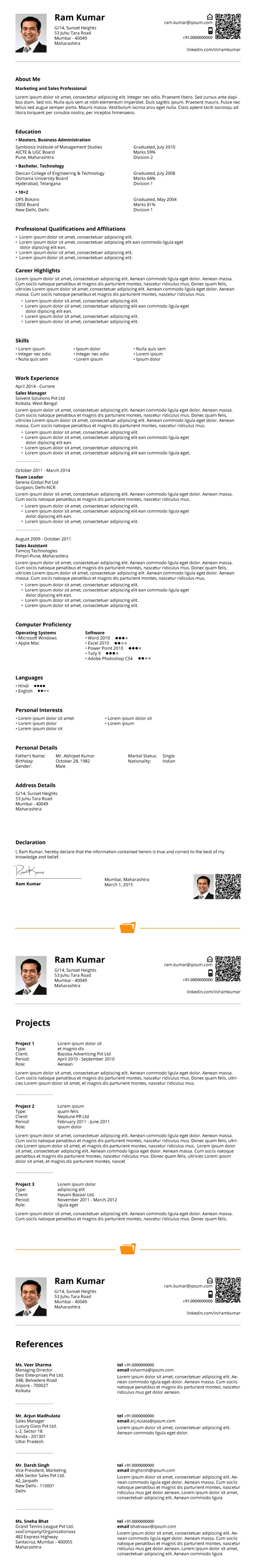 Professional Resume Document