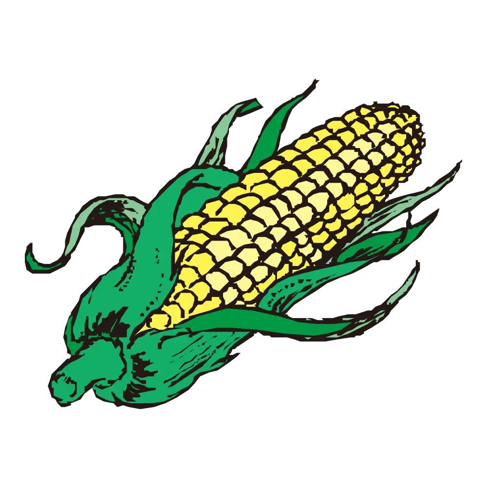 Corn on the Cob