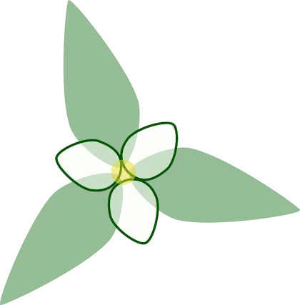 Green Leaf Design Symbol