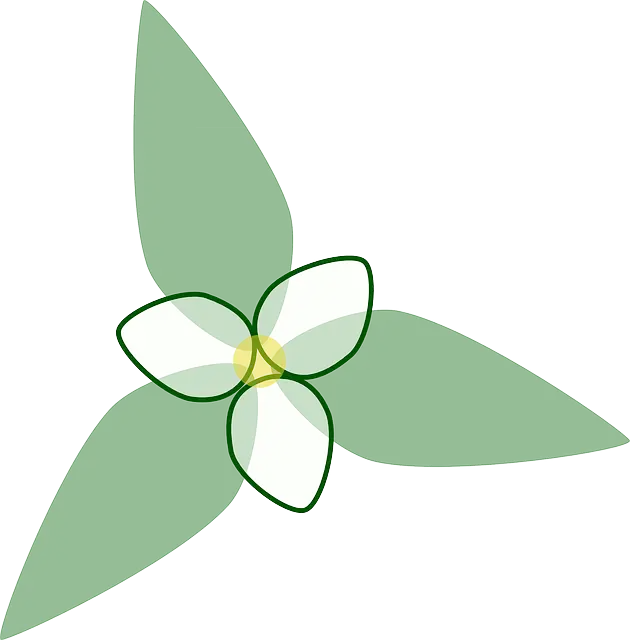 Green Leaf Design Symbol