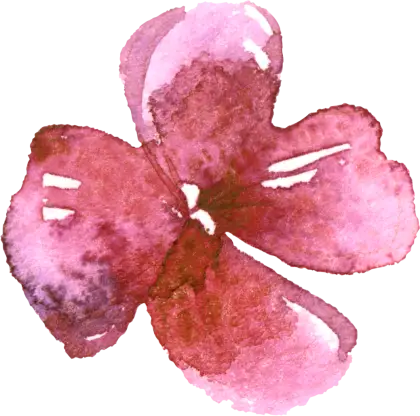 Watercolor Pink Flower