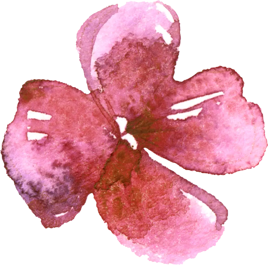 Watercolor Pink Flower