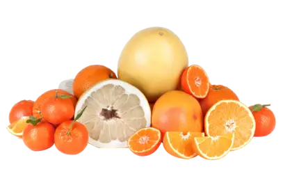 Citrus Fruits Assortment with Oranges and Pomelo