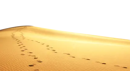 Footprints in the Desert Sand