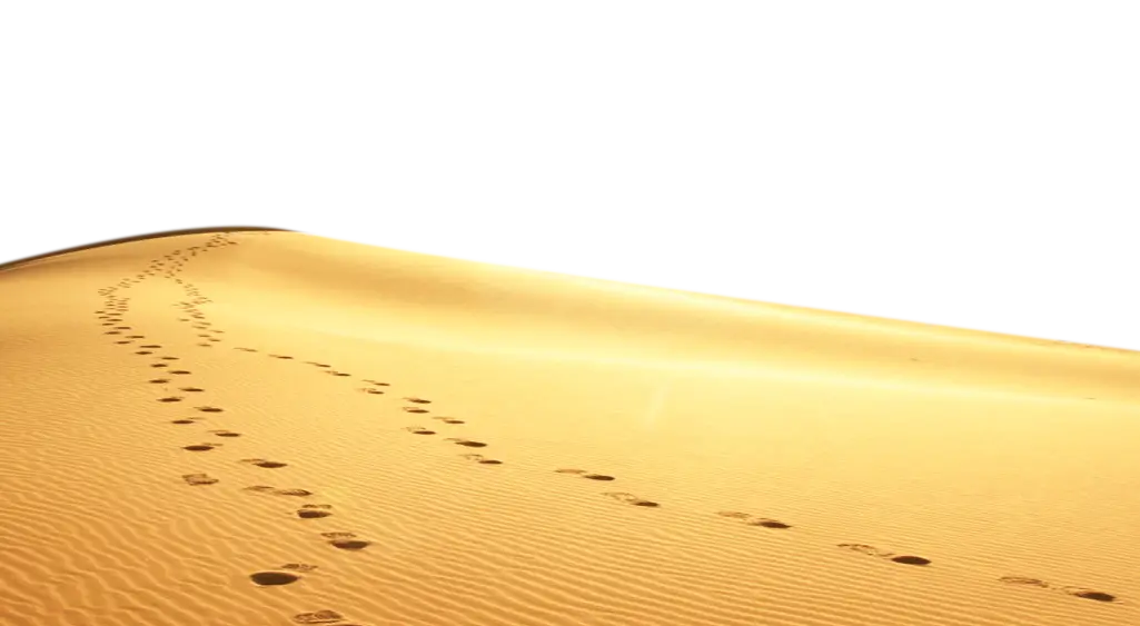Footprints in the Desert Sand