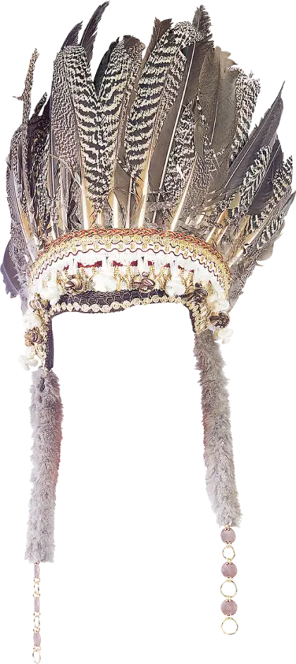 Ornate Feathered Headdress Design