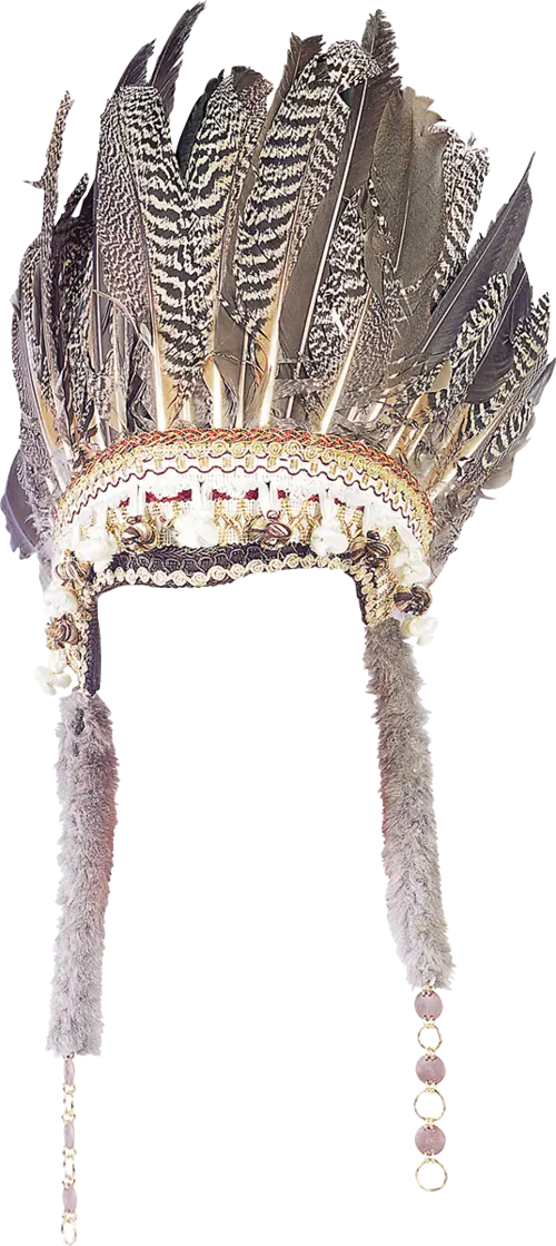 Ornate Feathered Headdress Design