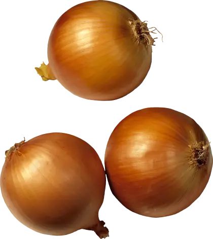 Fresh Brown Onions