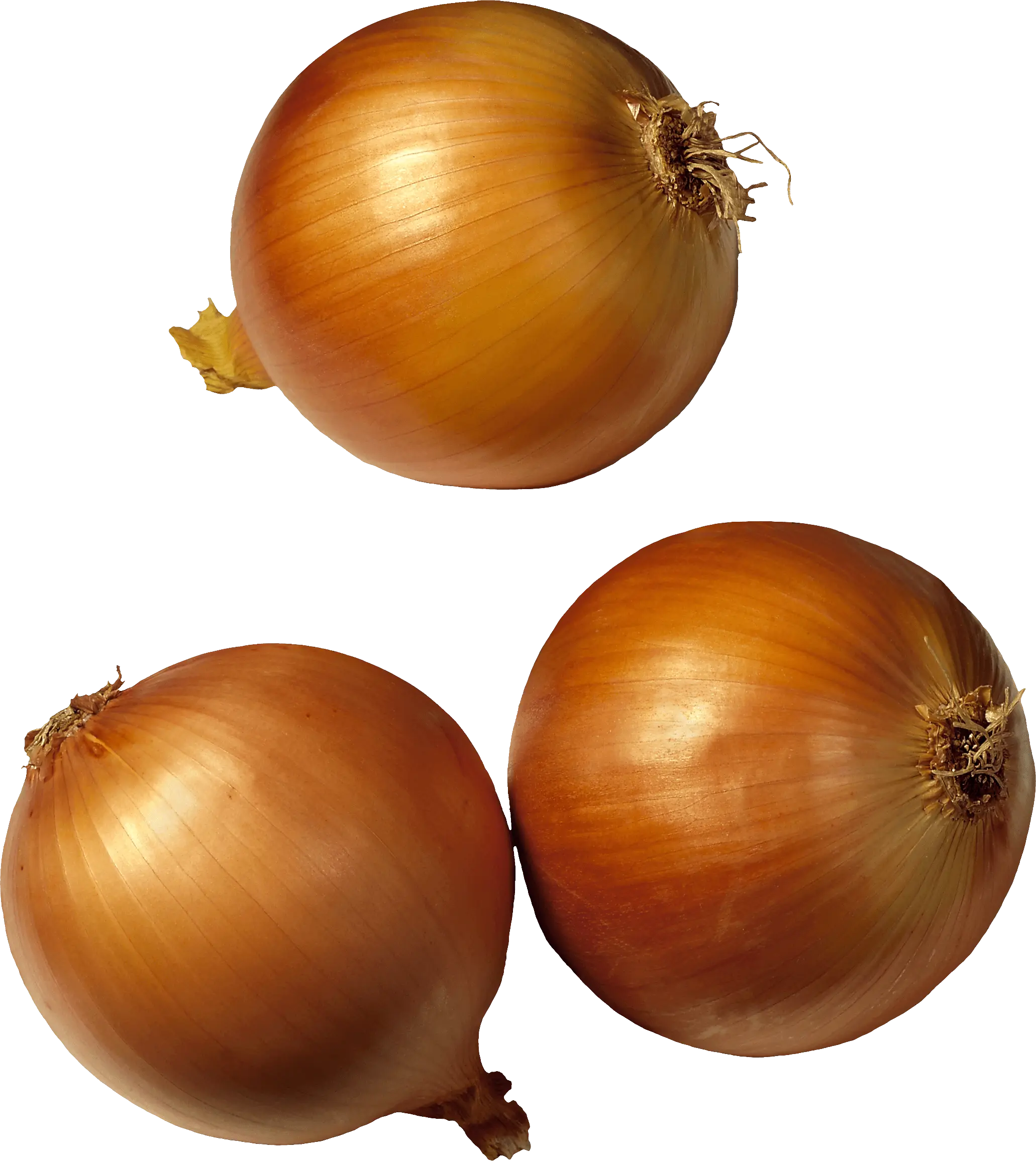 Fresh Brown Onions