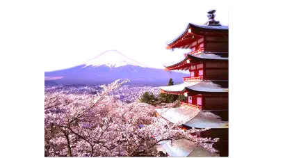 Scenic Pagoda with Mount Fuji and Cherry Blossoms