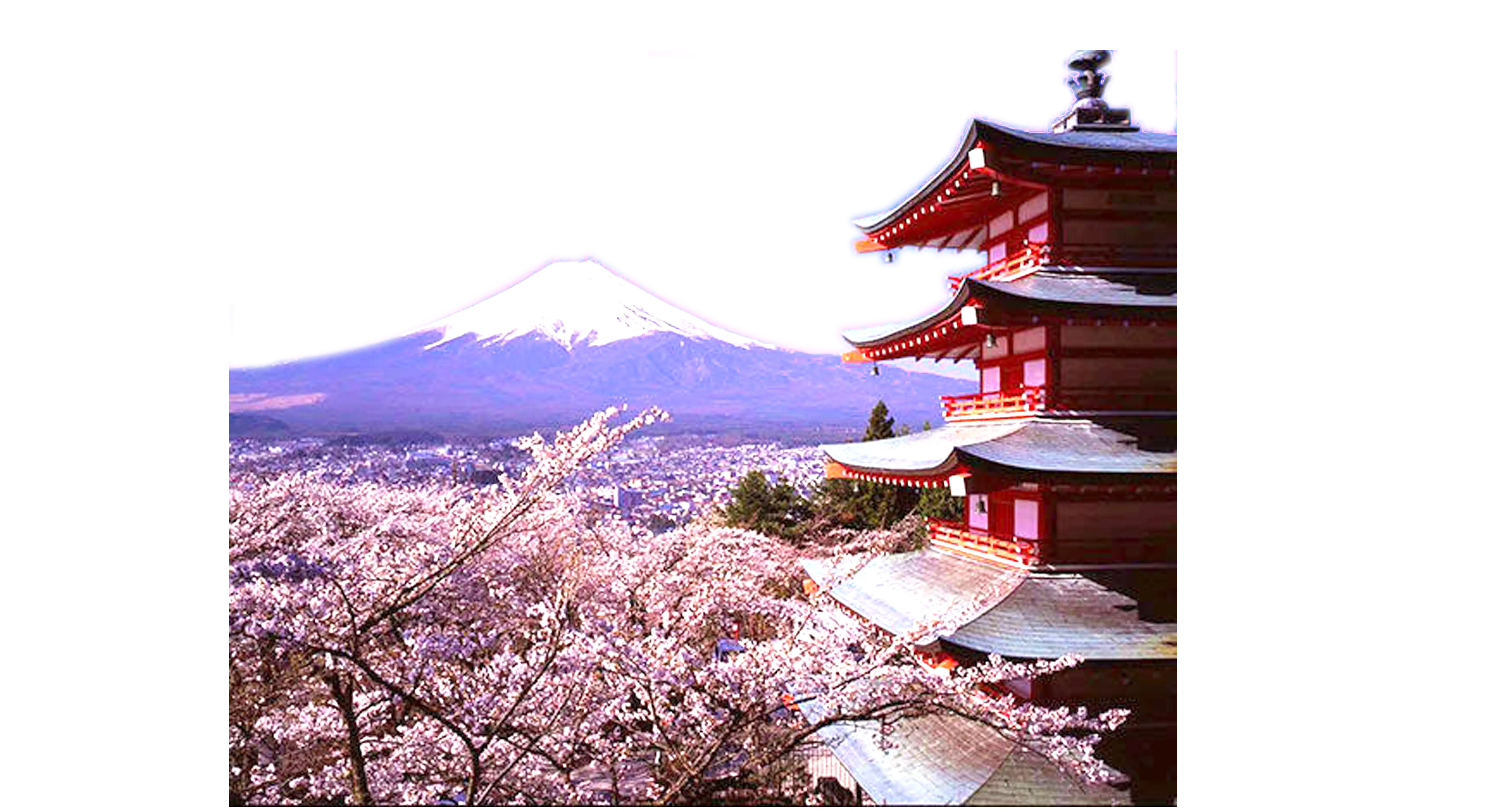 Scenic Pagoda with Mount Fuji and Cherry Blossoms