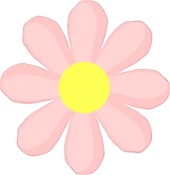 Pink Flower with Yellow Center