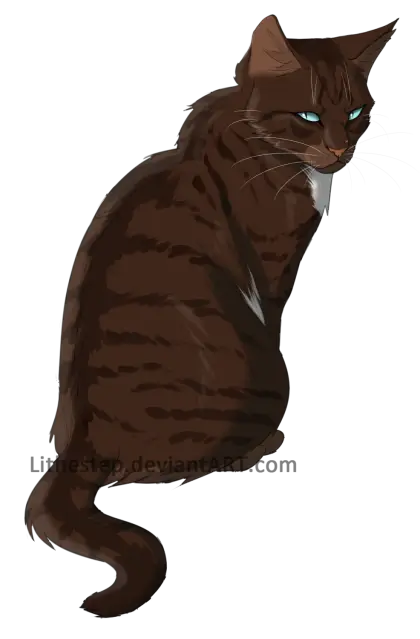 Dark Brown Cat Digital Illustration