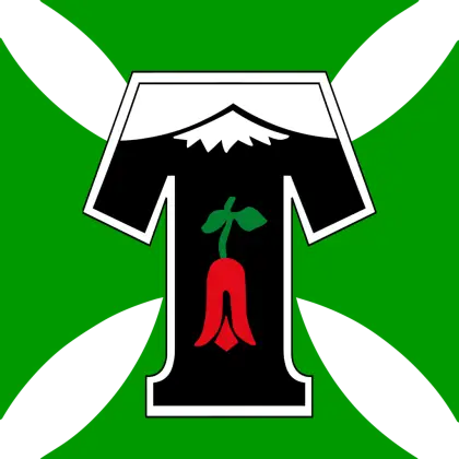 Sports Team Logo with Jersey