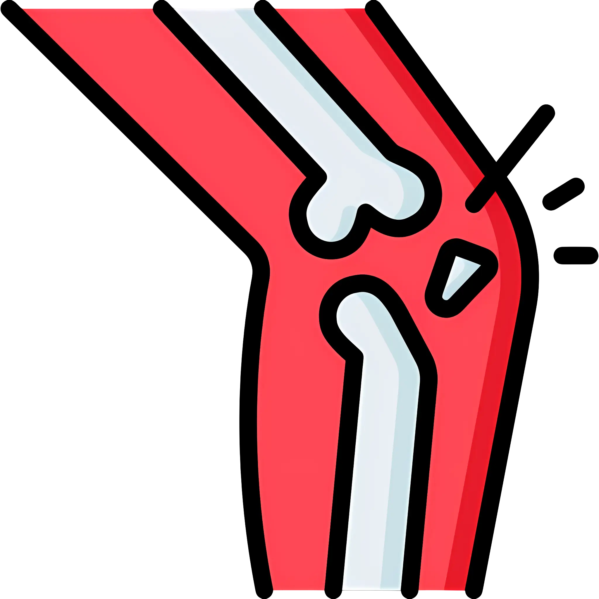 Knee Joint Diagram