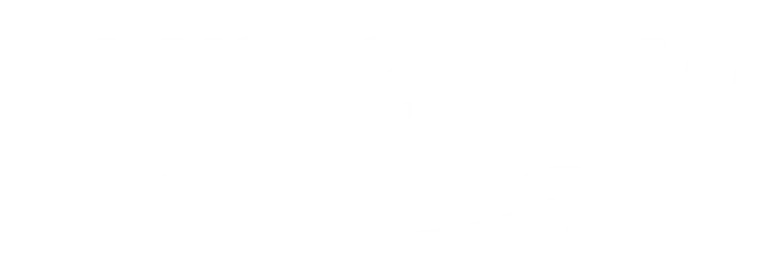 Prime Now Delivery Service Logo