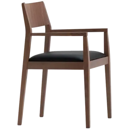 Minimalist Wooden Chair with Black Cushion