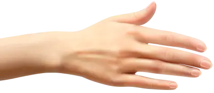 Human Hand Open Gesture Illustration