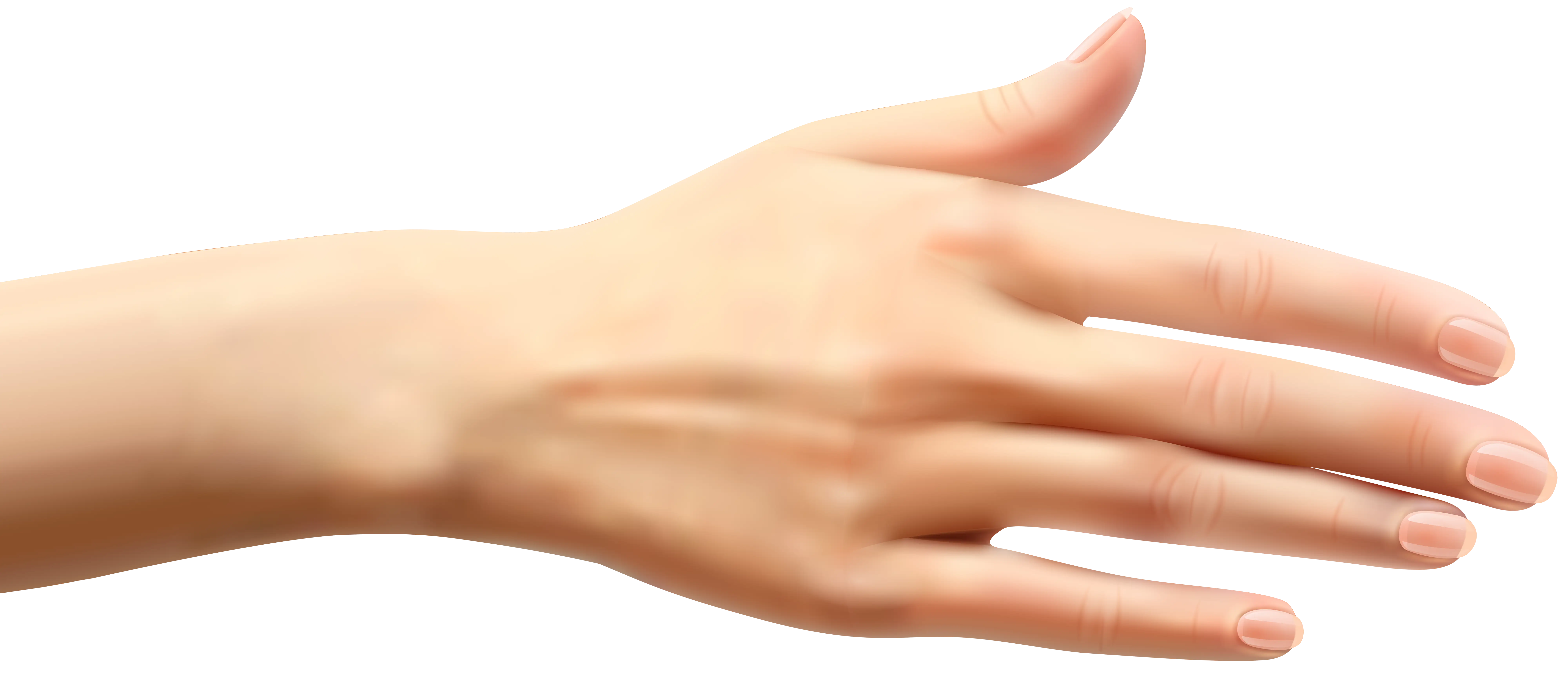 Human Hand Open Gesture Illustration