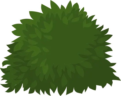 Green Bush Illustration
