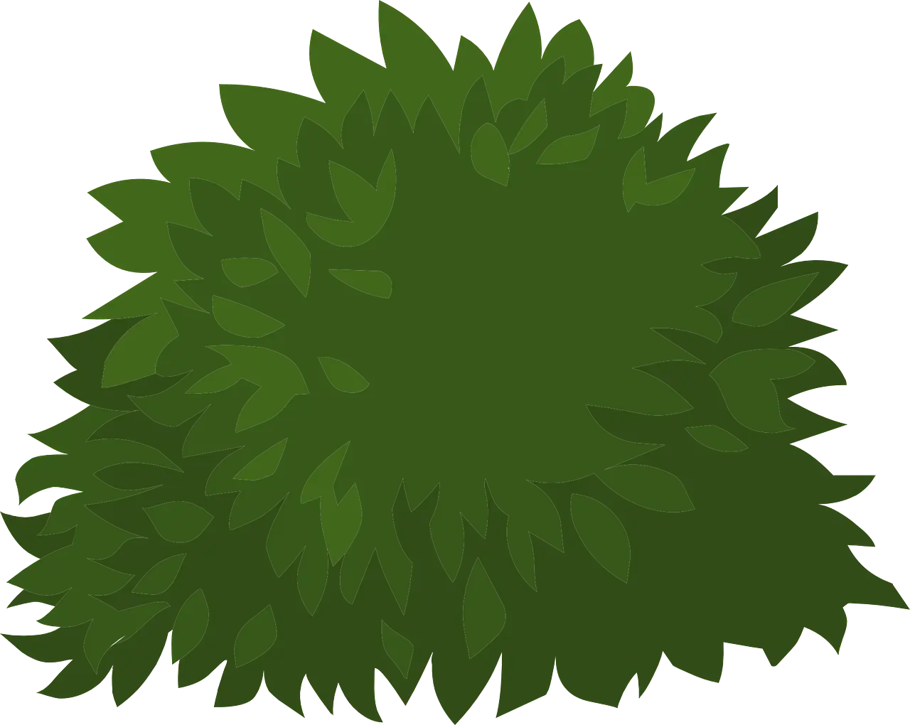 Green Bush Illustration