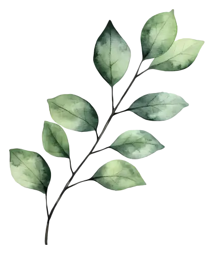 Minimalistic Green Leafy Branch Illustration