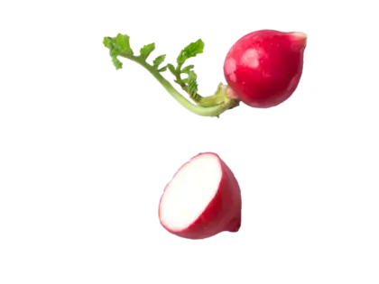 Fresh Red Radish with Leaves