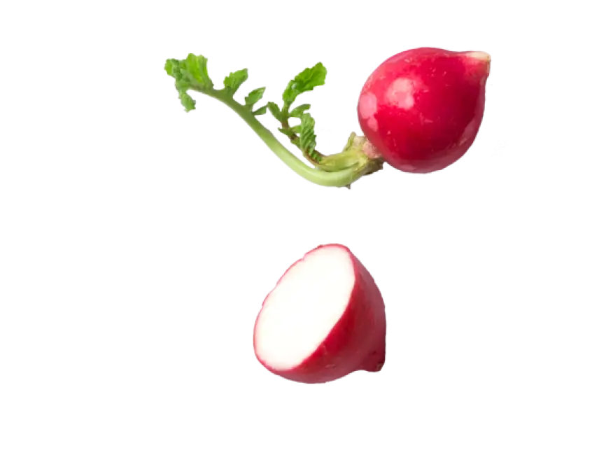 Fresh Red Radish with Leaves