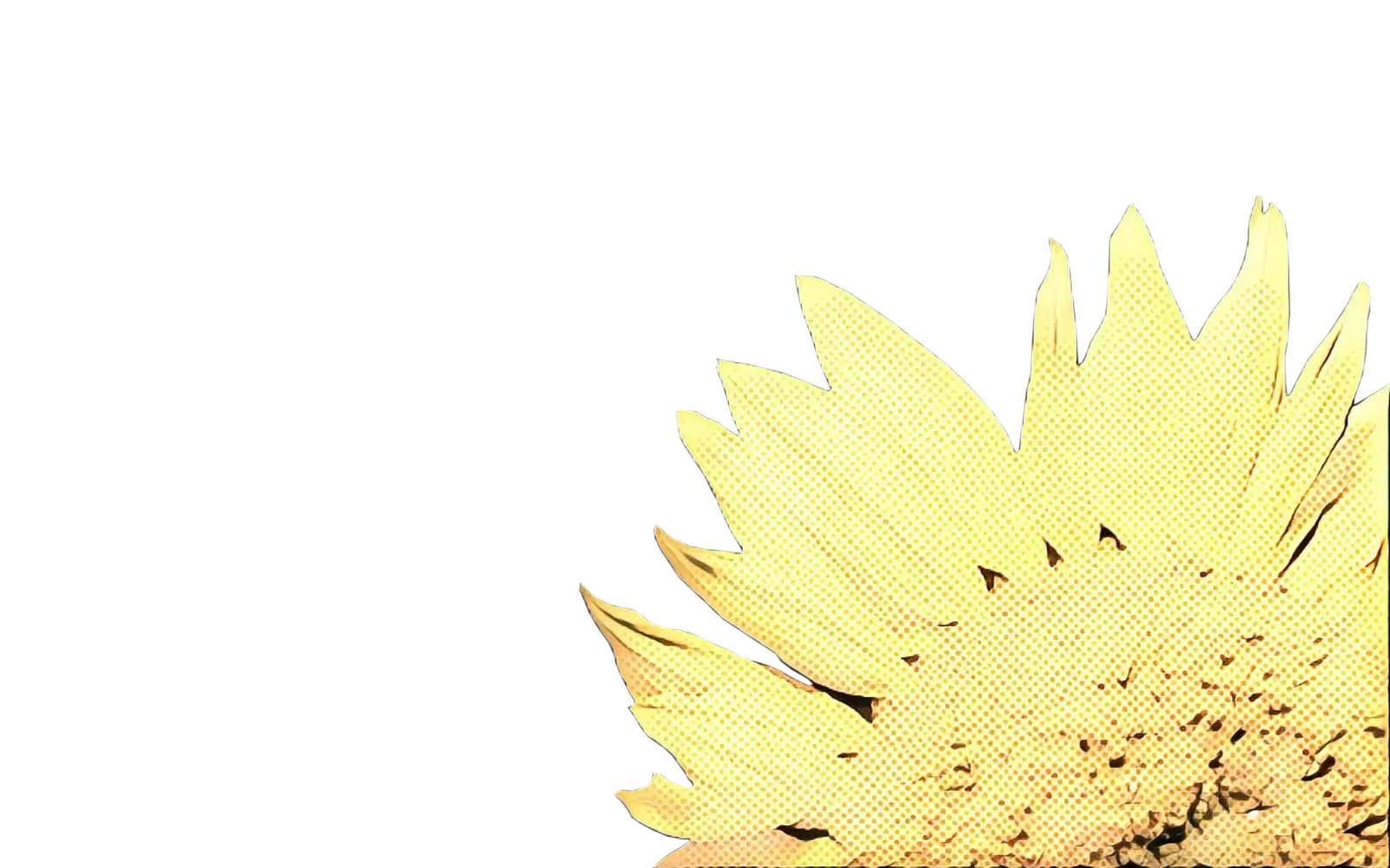 Partial Sunflower Illustration with Yellow Petals
