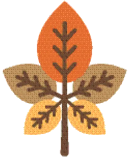 Autumn Leaf Illustration