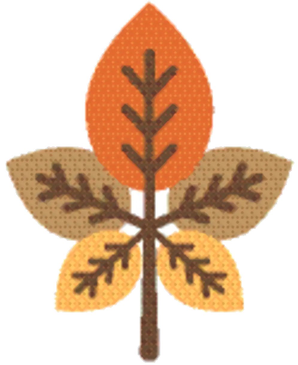 Autumn Leaf Illustration