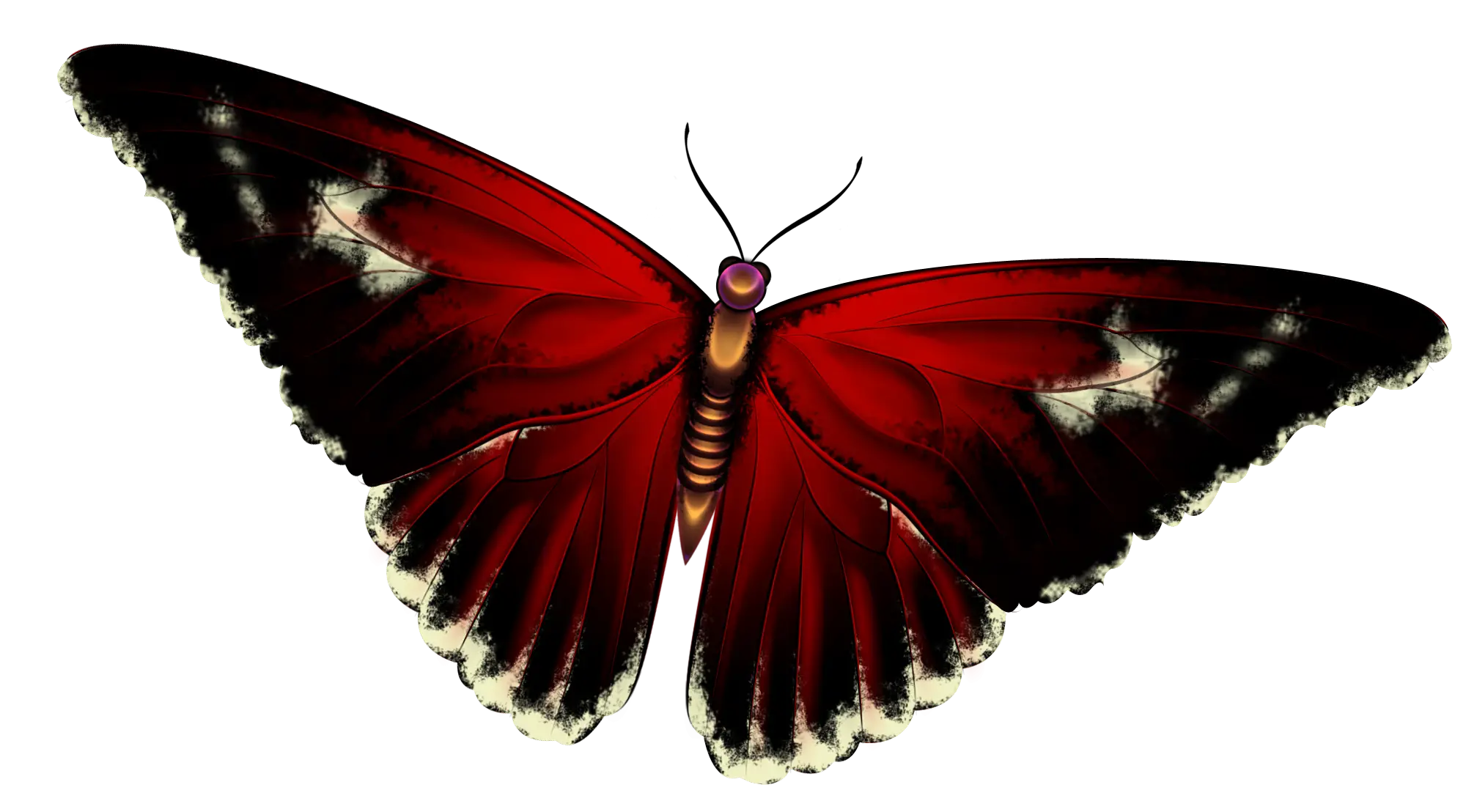 Beautiful Red Butterfly Illustration