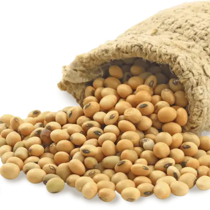 Soybean Sack for Agriculture Product
