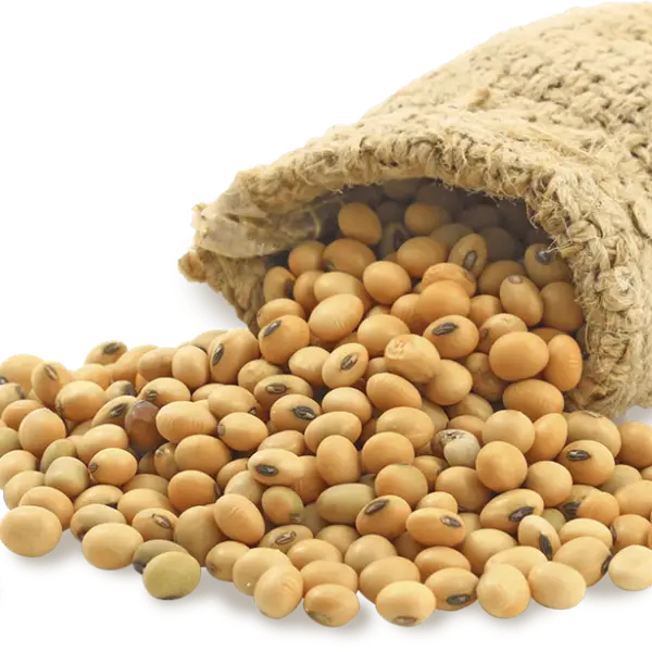 Soybean Sack for Agriculture Product