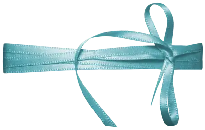 Light Blue Ribbon Bow for Decoration