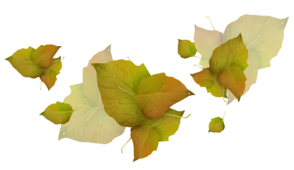 Autumn Fall Leaves
