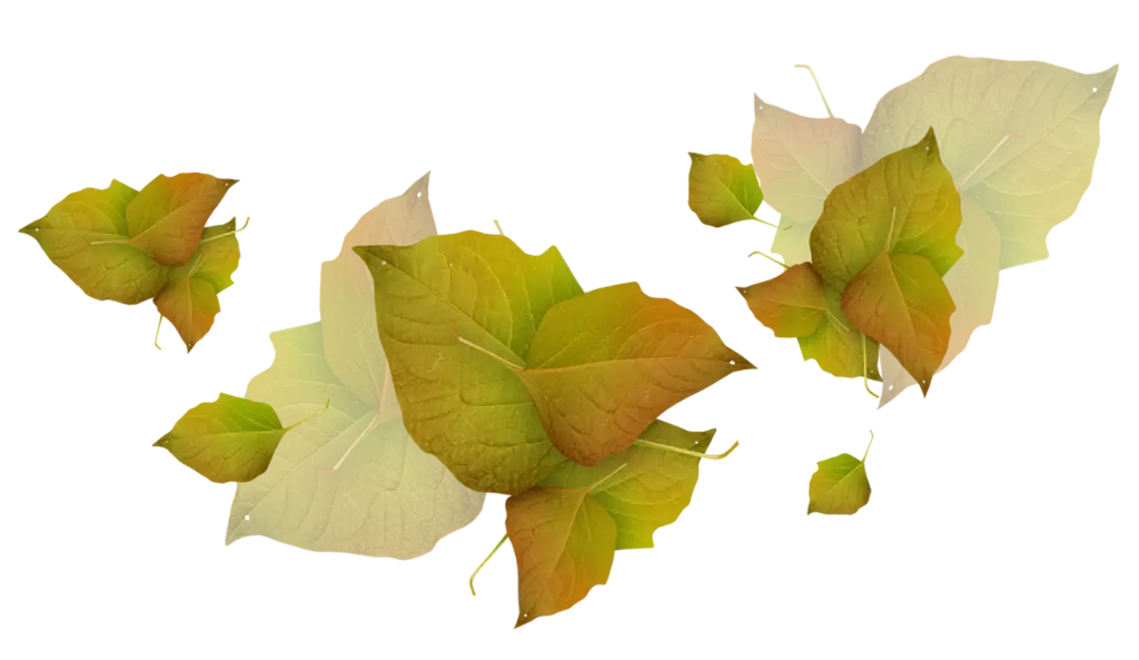Autumn Fall Leaves