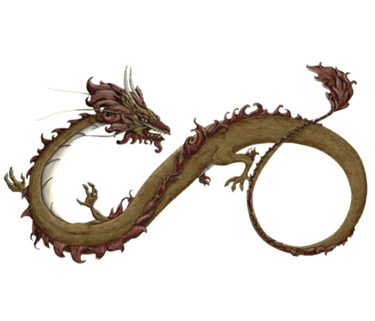 Curved Dragon Design for Fantasy Themes