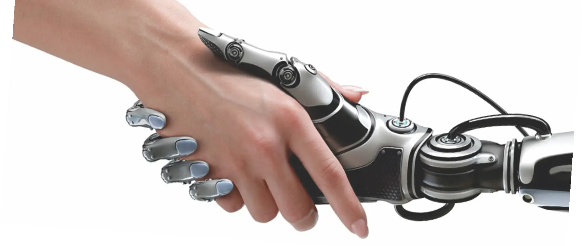Human and Robot Handshake