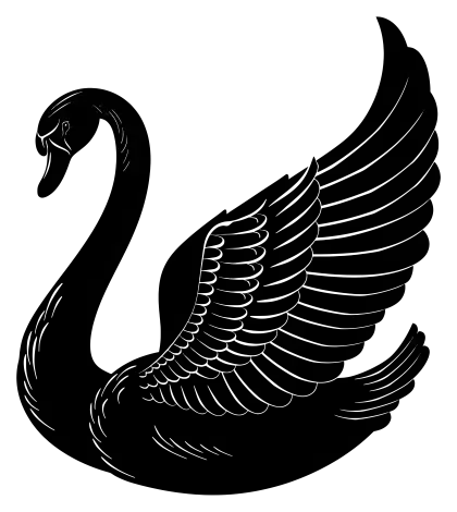 Elegant Black Swan Illustration