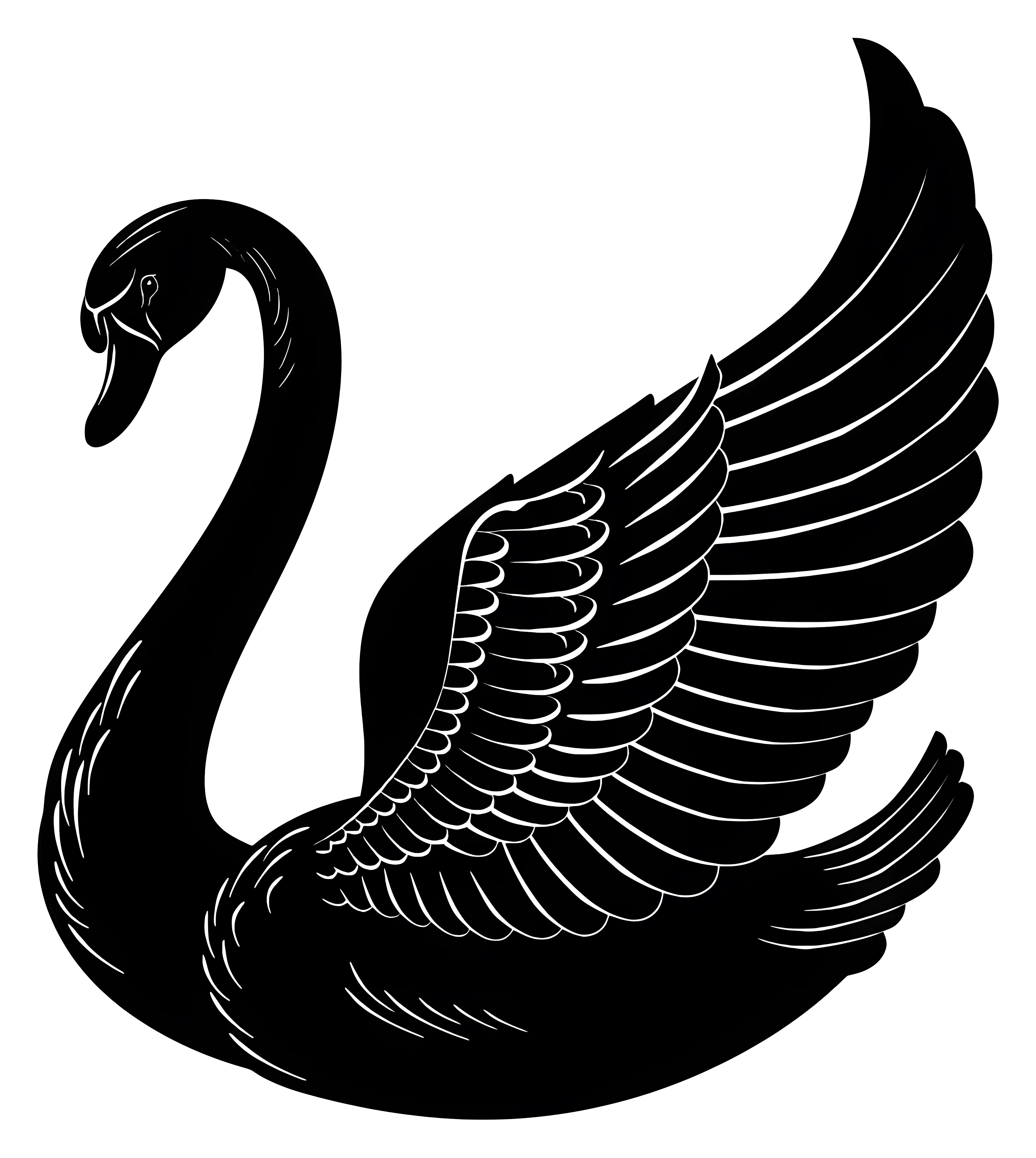 Elegant Black Swan Illustration