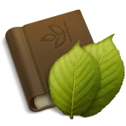 Book and Leaves Illustration