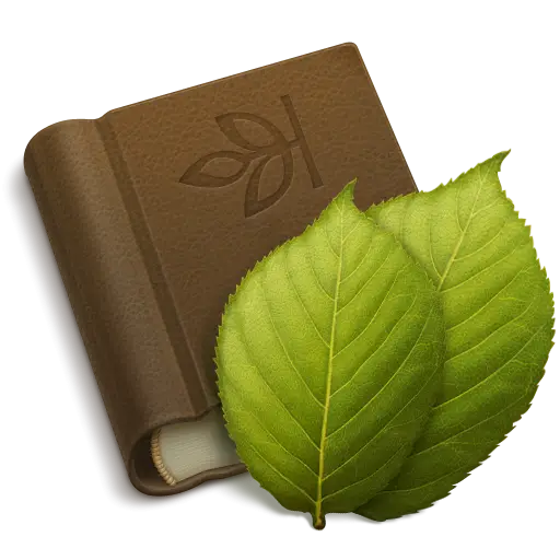 Book and Leaves Illustration