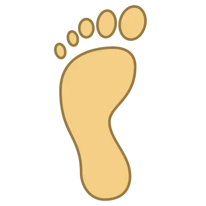 Illustration of a Human Foot