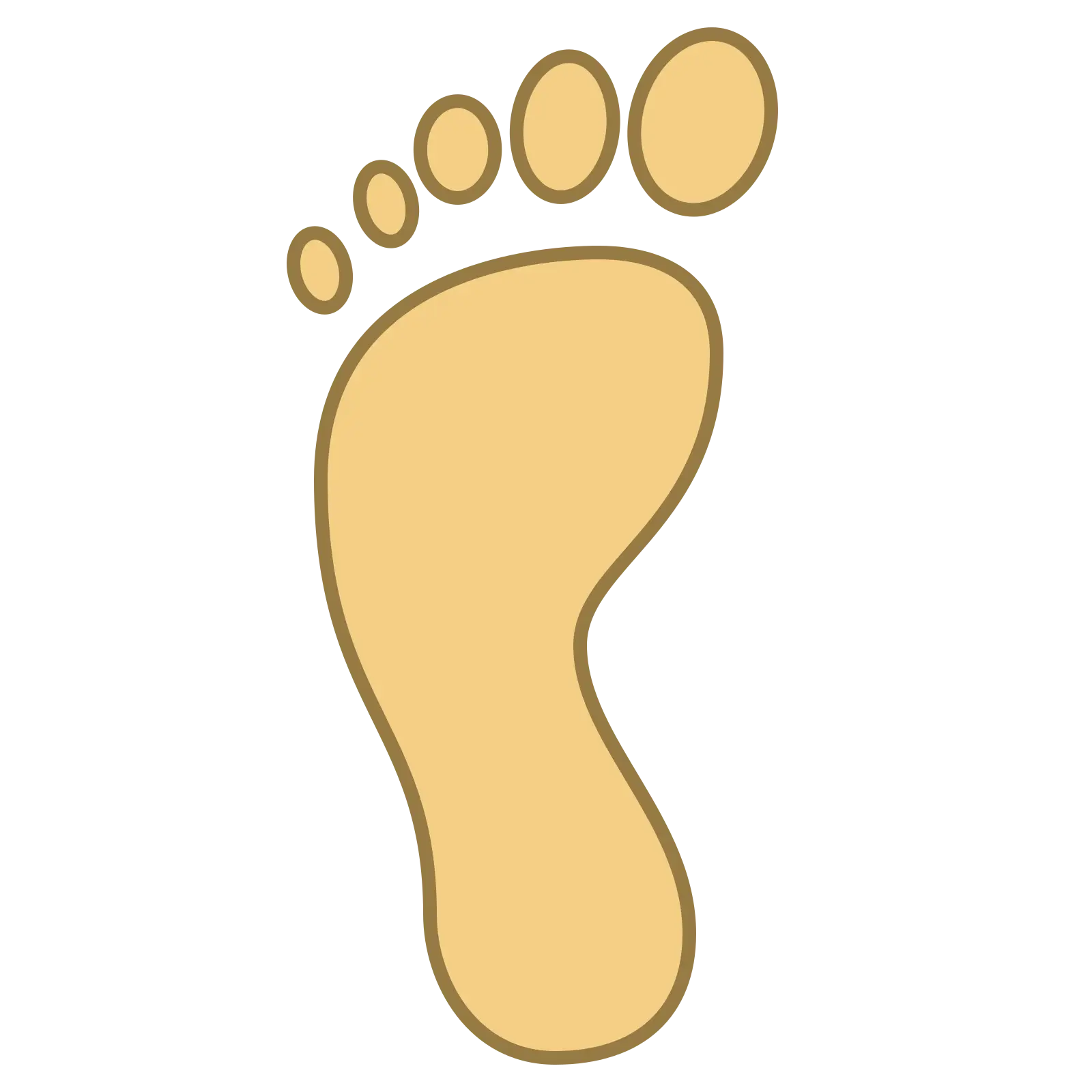 Illustration of a Human Foot