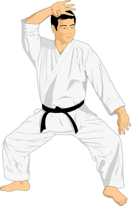 Karate Fighter in Action Pose